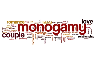 monogamywordcloud